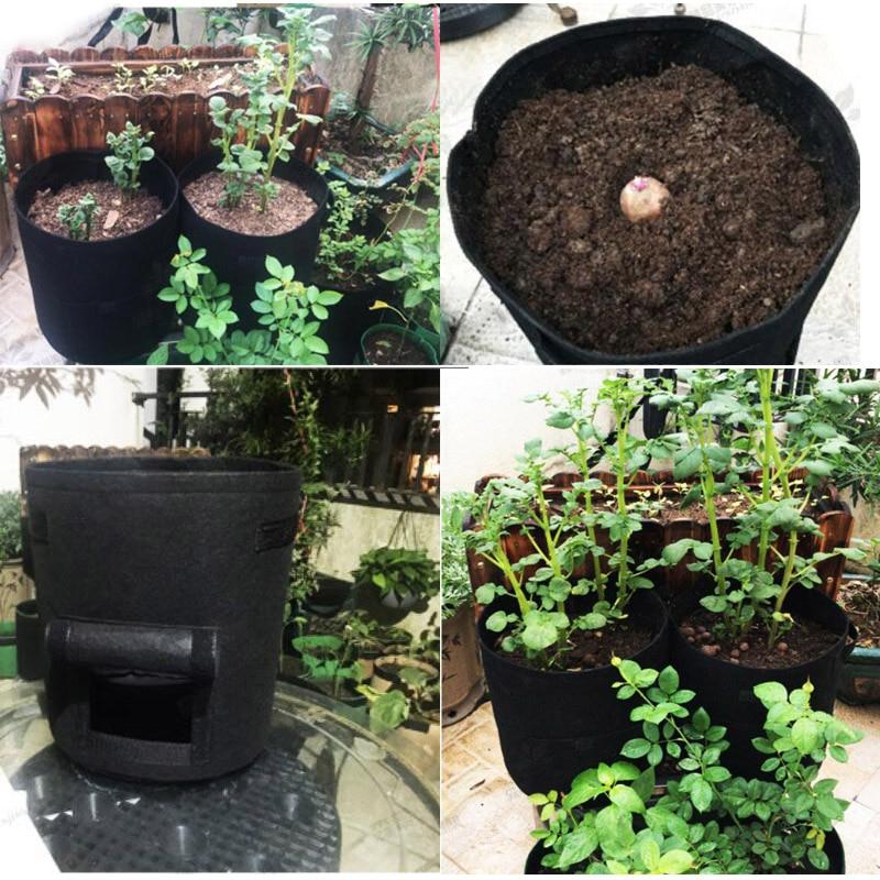 3 Size Plant Grow Canvas Pots, home garden, Potato, greenhouse, Vegetable Growing. - Trend Catalog - 3 Size Plant Grow Bags