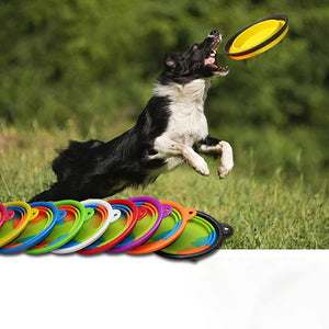 1Pcs Portable Travel Bowl Dog Feeder Water Food Container Silicone Small Mudium Dog Pet Accessories Folding Dog Bowl Outfit - Trend Catalog