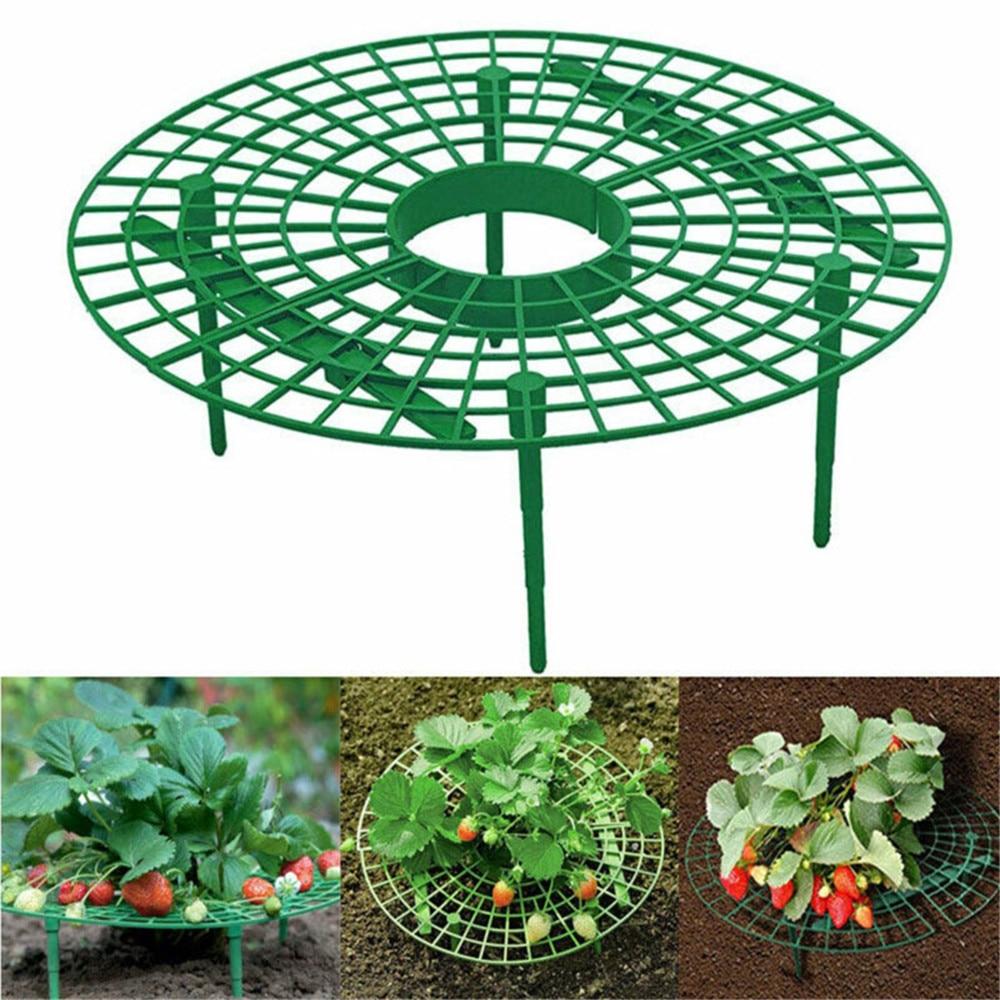 Balcony Vegetable Rack - Trend Catalog