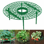 Balcony Vegetable Rack - Trend Catalog