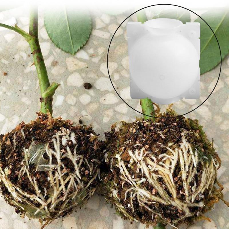 5pcs Plant Rooting Ball Grafting Rooting Growing Box Breeding pot Plant Root Growing Box For Garden 5/8cm In Diameter. - Trend Catalog - 