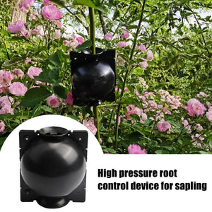 5pcs Plant Rooting Ball Grafting Rooting Growing Box Breeding pot Plant Root Growing Box For Garden 5/8cm In Diameter. - Trend Catalog - 