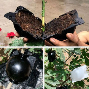 5pcs Plant Rooting Ball Grafting Rooting Growing Box Breeding pot Plant Root Growing Box For Garden 5/8cm In Diameter. - Trend Catalog - 