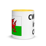 Welsh Mug with Color Inside - Trend Catalog